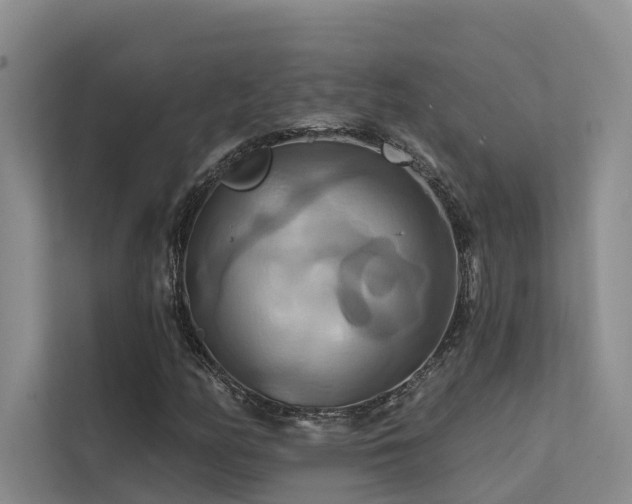 X0000112201158200908071428