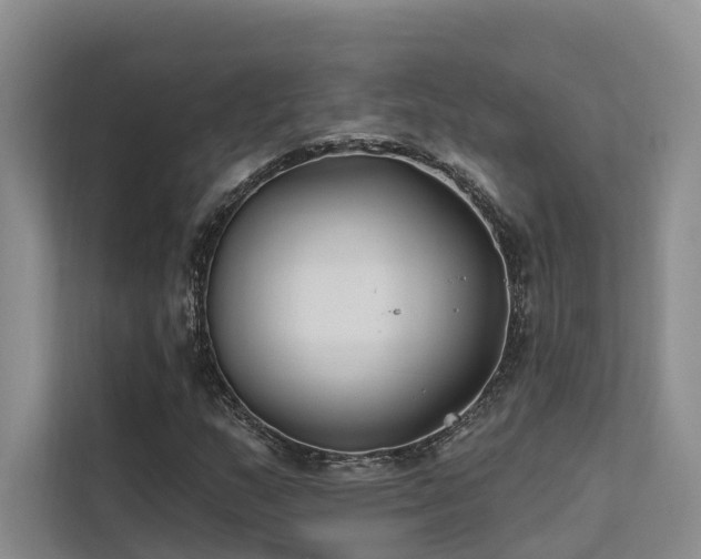 X0000112201159200908071428