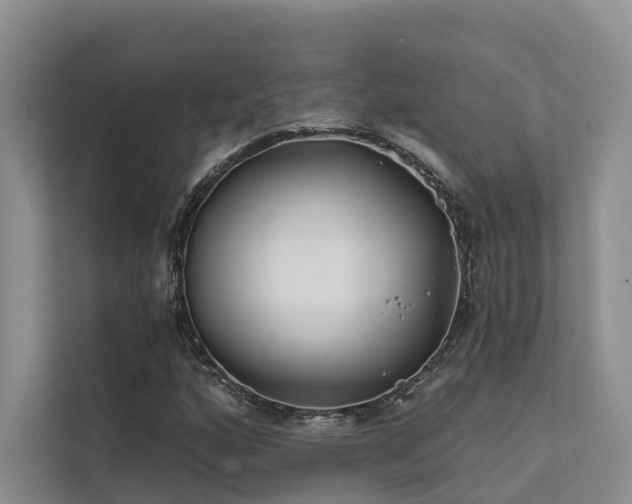 X0000112201160200908071428