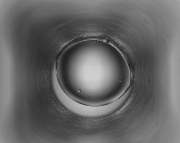 X0000112201161200908071428