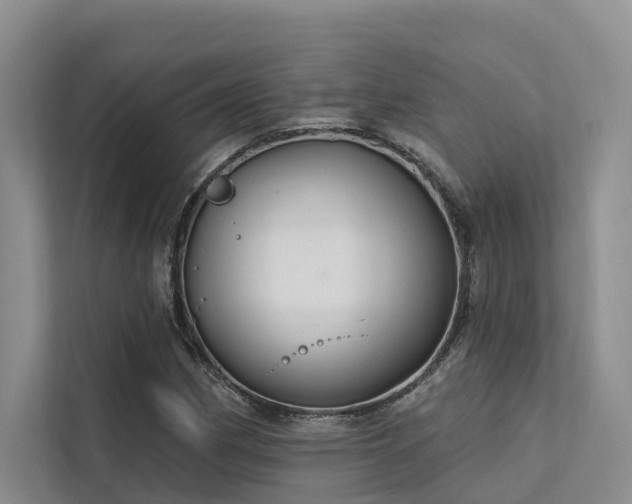 X0000112201162200908071428