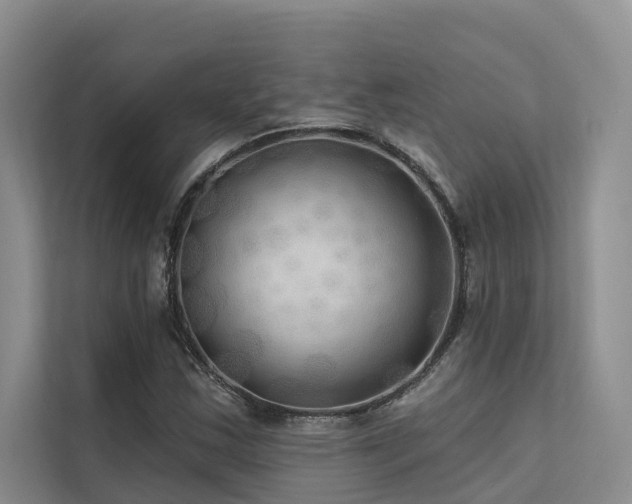 X0000112201163200908071428