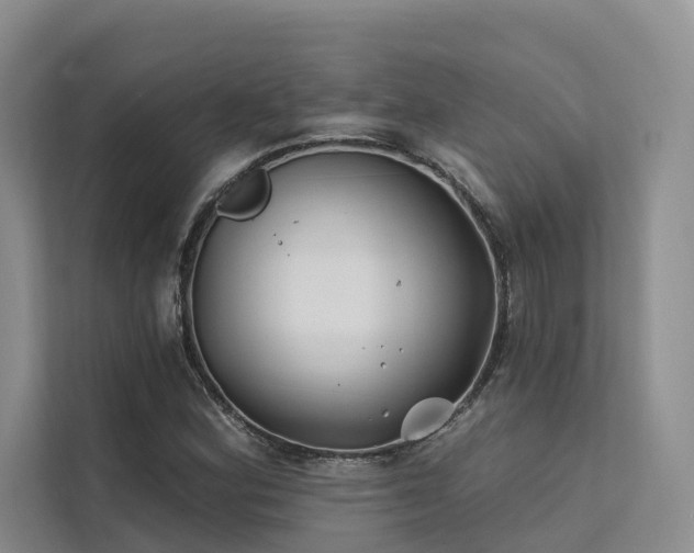 X0000112201164200908071428
