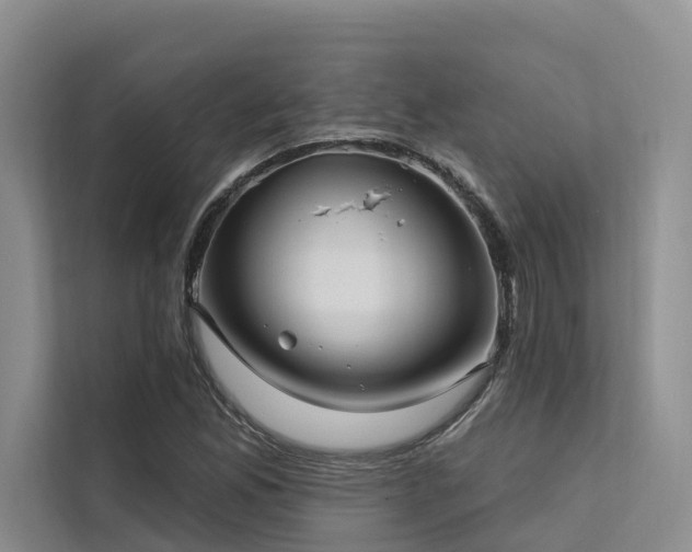 X0000112201165200908071428