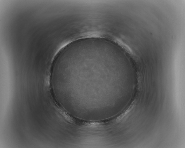 X0000112201166200908071428