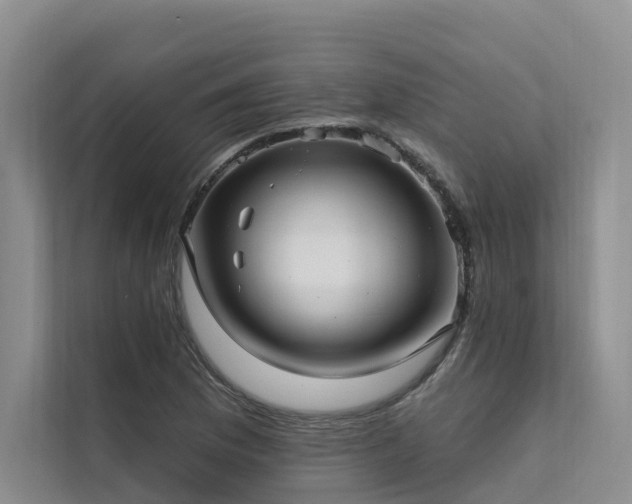 X0000112201169200908071428