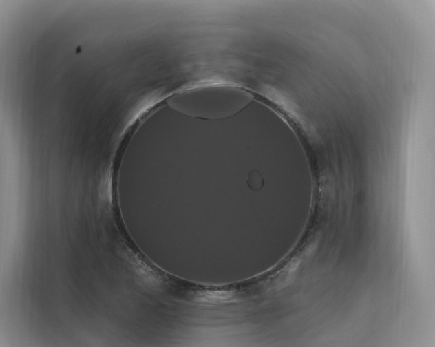 X0000112201173200908071428