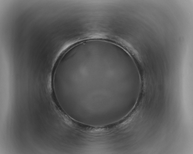 X0000112201174200908071428