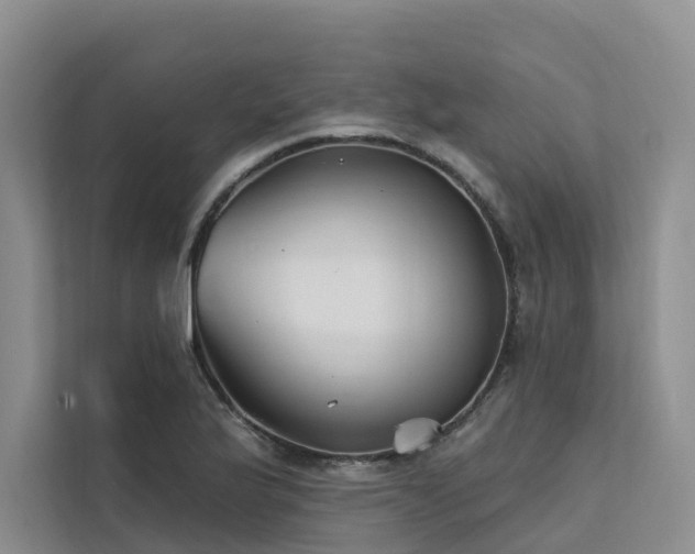 X0000112201175200908071428
