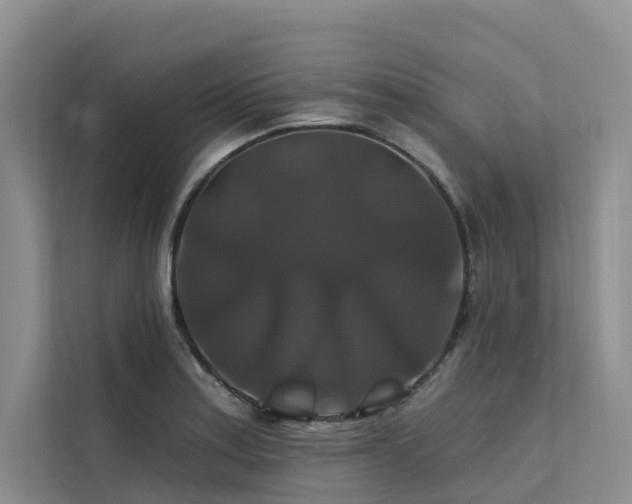 X0000112201179200908071428