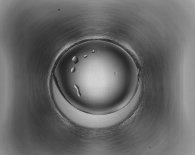 X0000112201181200908071428