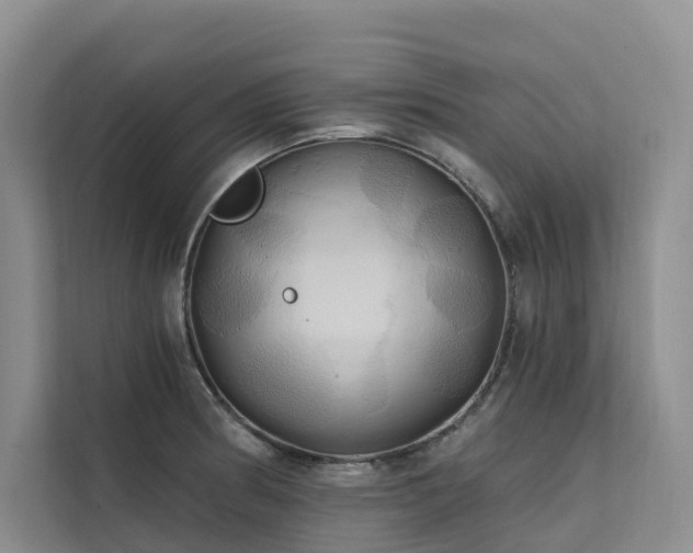 X0000112201186200908071428