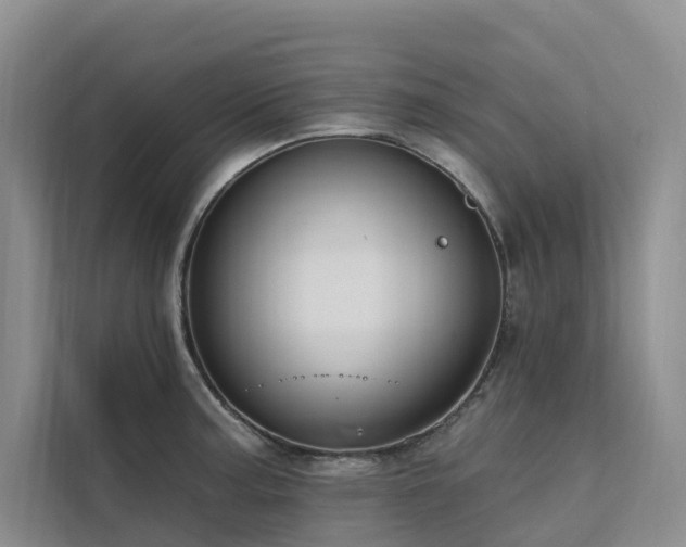 X0000112201187200908071428