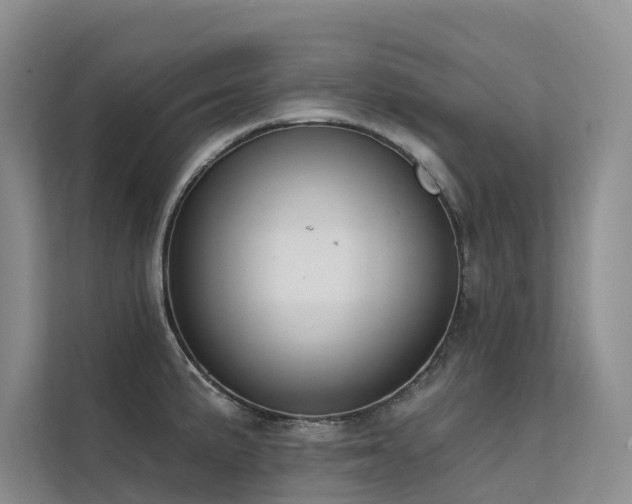 X0000112201191200908071428