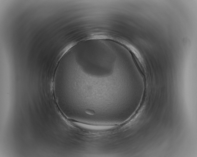 X0000112201193200908071428
