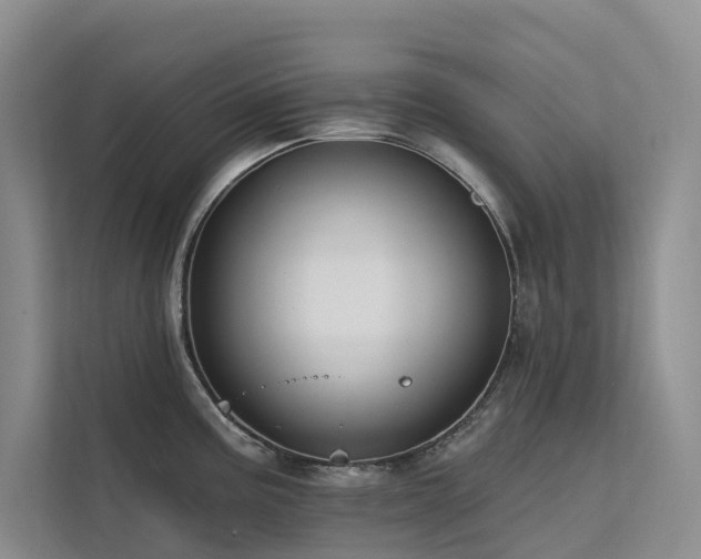 X0000112201195200908071428