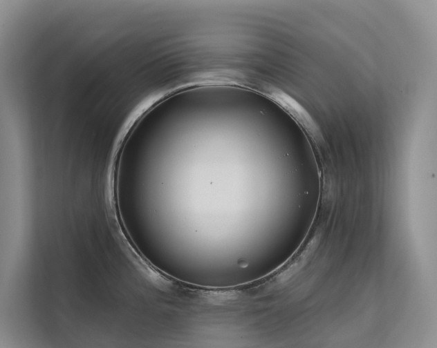 X0000112201196200908071428