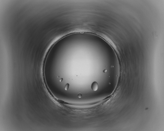 X0000112201197200908071428