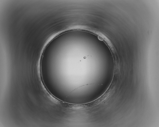 X0000112201199200908071428