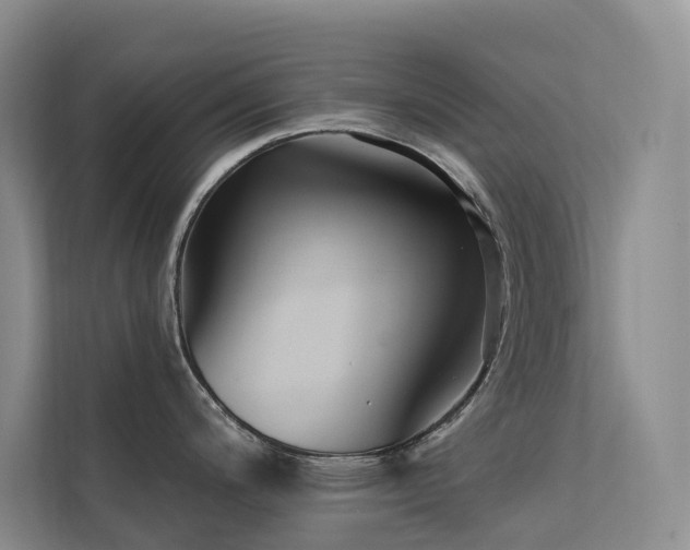 X0000112201200200908071428
