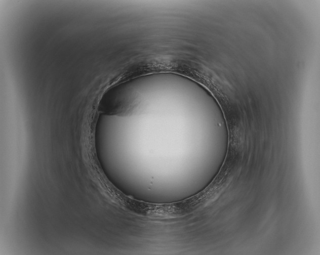 X0000112201201200908071427
