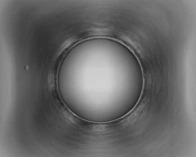X0000112201211200908071427