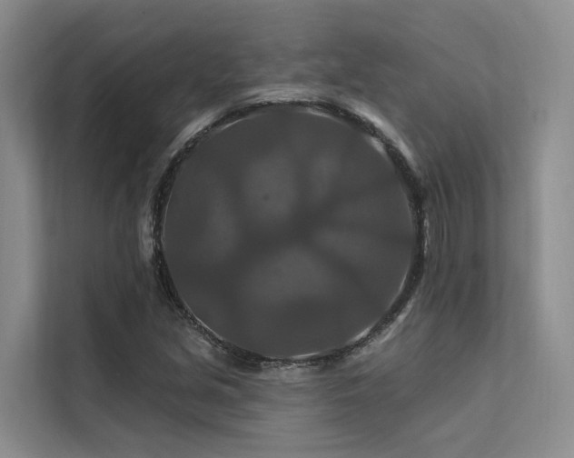 X0000112201213200908071427