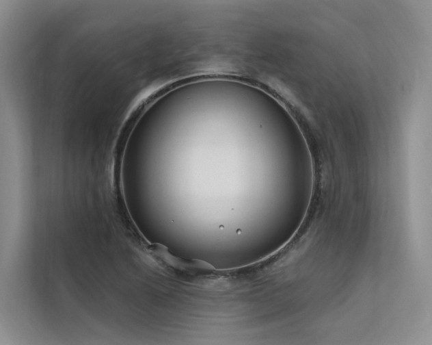 X0000112201222200908071427