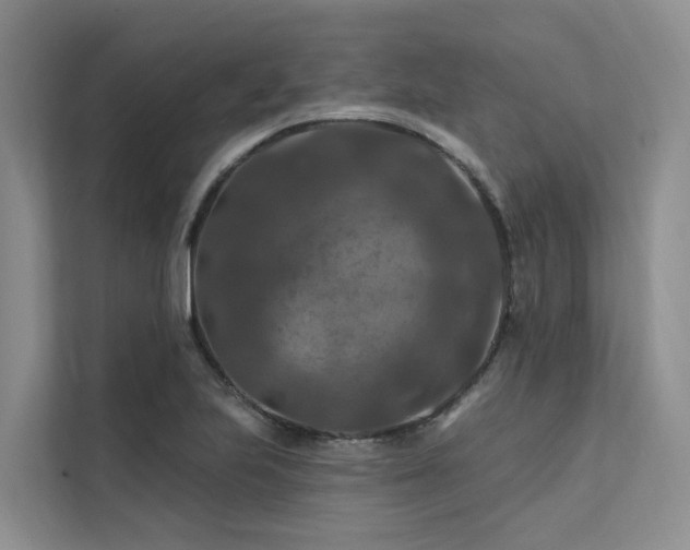 X0000112201223200908071427