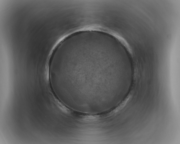 X0000112201224200908071427