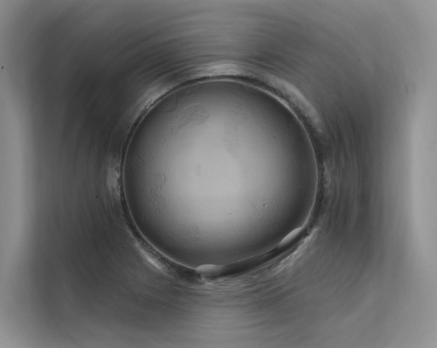 X0000112201225200908071427