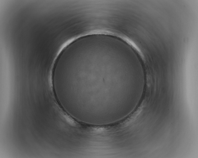 X0000112201230200908071427