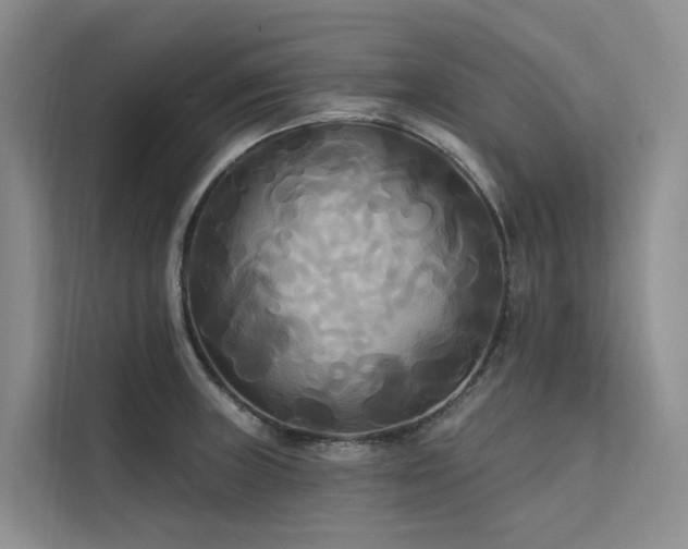 X0000112201235200908071427