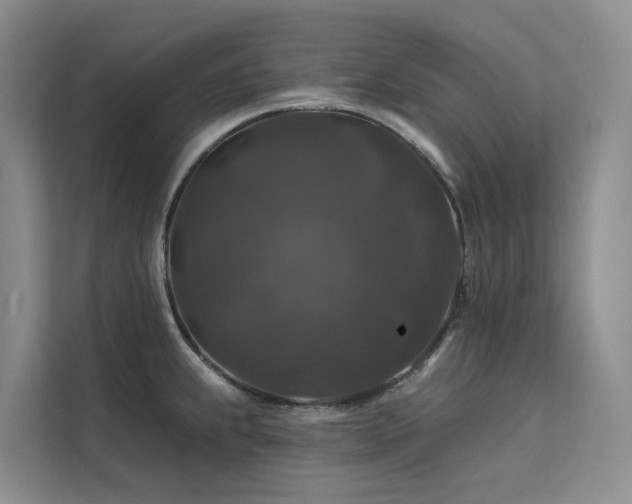 X0000112201239200908071427