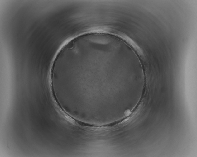 X0000112201240200908071427