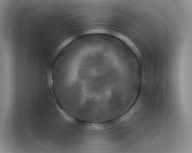 X0000112201241200908071427