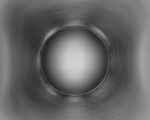 X0000112201242200908071427