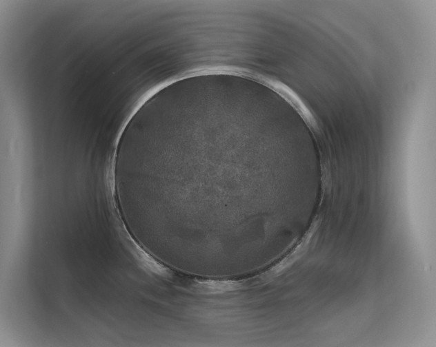 X0000112201244200908071427