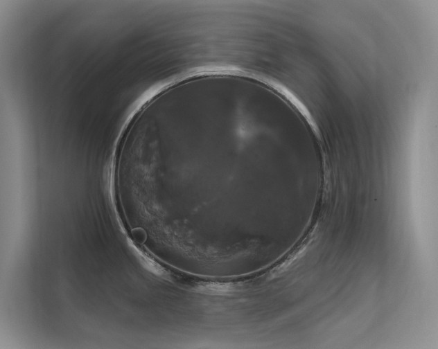 X0000112201245200908071427