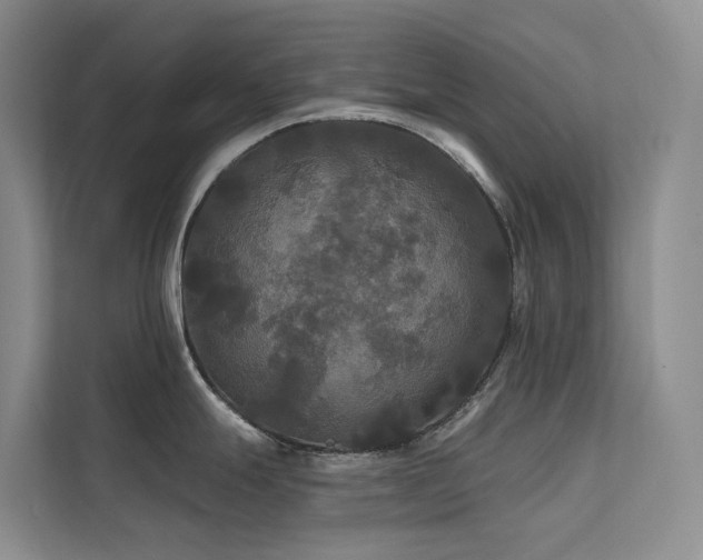 X0000112201247200908071428