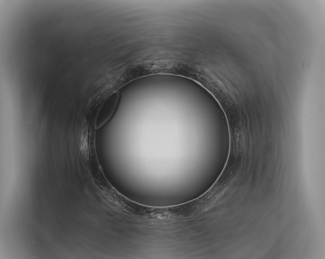 X0000112201250200908071427