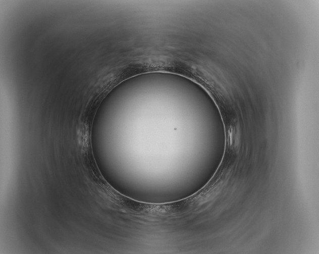 X0000112201251200908071427