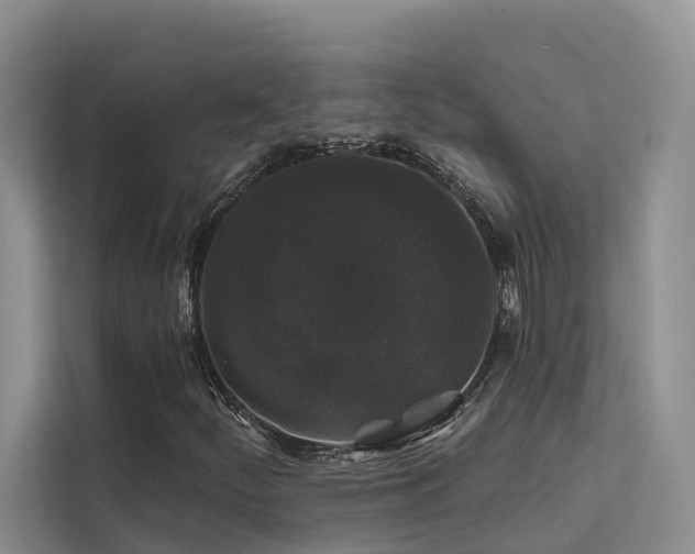 X0000112201252200908071427