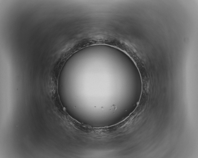 X0000112201253200908071427