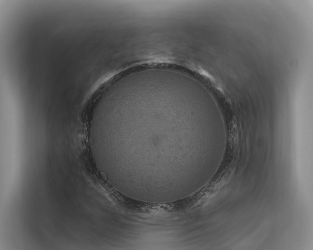 X0000112201255200908071427