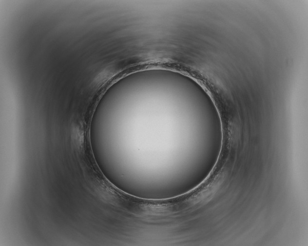 X0000112201257200908071427