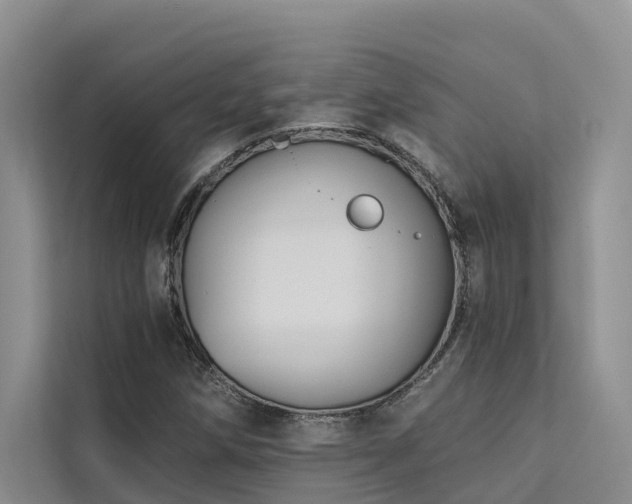 X0000112201258200908071427