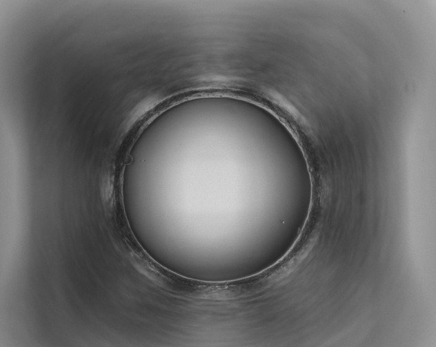 X0000112201259200908071427