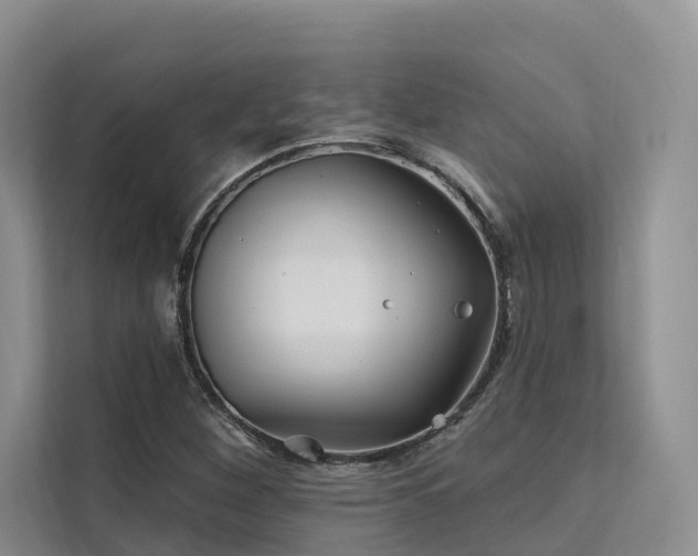 X0000112201260200908071427