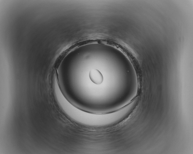 X0000112201261200908071427